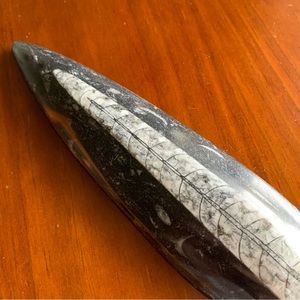 Polished fossil home decor